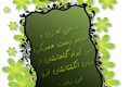 روز زن (6)